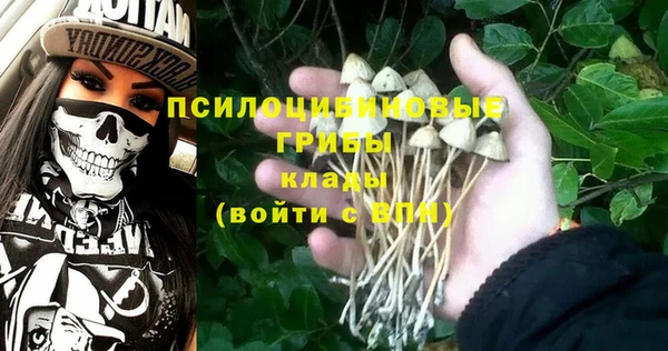 спайс Абдулино