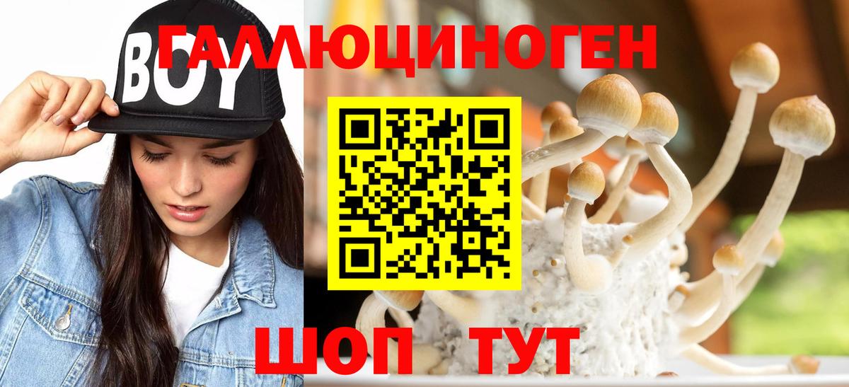 Галлюциногенные грибы Magic Shrooms  Псилоцибиновые грибы прущие грибы  Вход с VPN  что такое   Белая Калитва 